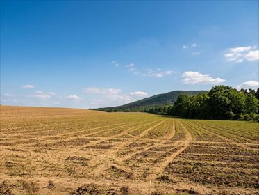 Działka na sprzedaż 9987 m² w Mysłakowie – okazja! działka Mysłaków