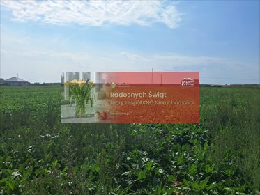 działka na sprzedaż 1594m2 działka Turowola-Kolonia