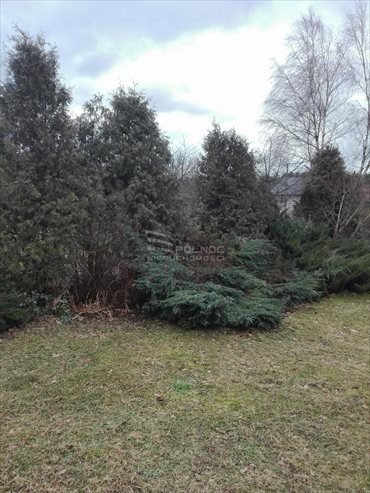 Dom na sprzedaż Nowy Sokołów 45m2 Foto 7