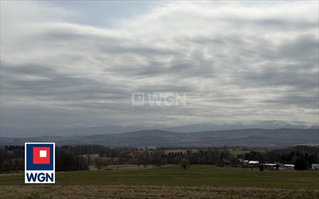 Sprzedam atrakcyjną działkę 2000 m² w Grudzi działka Grudza, Grudza, Grudza