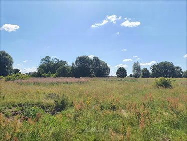 działka na sprzedaż 1832m2 działka Jeżyki