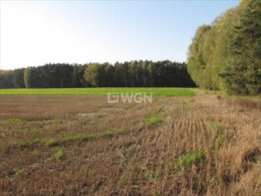 Działka budowlana na sprzedaż Siedlątków, Osiedle Działek 860m2 Foto 1