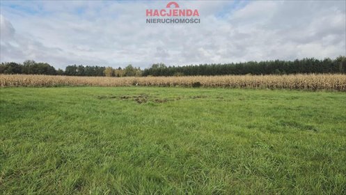 działka na sprzedaż 3000m2 działka Tatynia