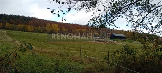 Działka pod osiedle domów jednorodzinnych - Kamionki działka Kamionki