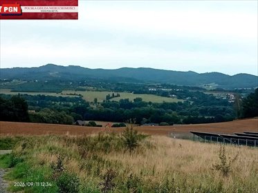 działka na sprzedaż 1300m2 działka Kłodzko