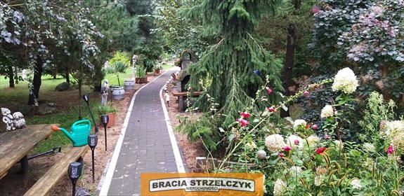 Działka siedliskowa na sprzedaż Nowe Gniewniewice 5 700m2 Foto 5