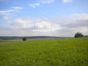 Działka rolna na sprzedaż Gołyszyn 28 520m2 Foto 2