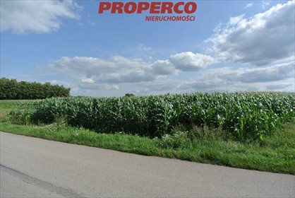 Działka 11 000 m² z warunkami zabudowy i asfaltowym dojazdem działka Łatanice