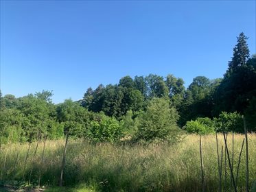 działka na sprzedaż 3000m2 działka Smolnik