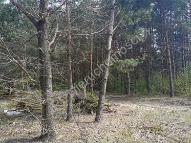działka na sprzedaż 1425m2 działka Książenice