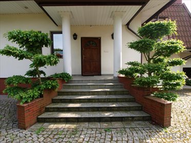 lokal użytkowy na wynajem 280m2 lokal użytkowy Dziekanów Polski