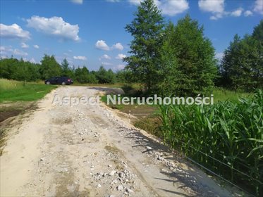 Działka inna na sprzedaż Nowy Lubiel 4 484m2 Foto 6