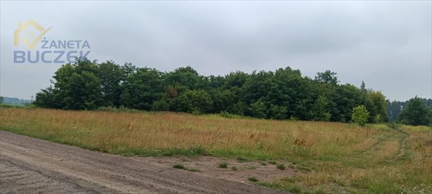 działka na sprzedaż 6675m2 działka Pawłowice