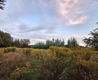 działka na sprzedaż 3400m2 działka Owczarnia