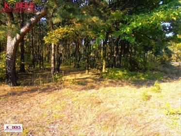 działka na sprzedaż 1530m2 działka Legionowo