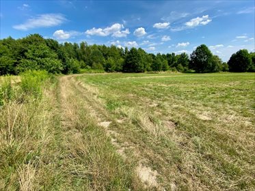 Działka inna na sprzedaż Łódź, Bałuty, Nowe Moskule, Strykowska 3 004m2 Foto 5