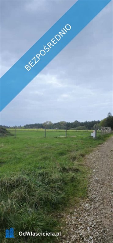 działka na sprzedaż 2500m2 działka Luszowice, Dąbrowa 56M