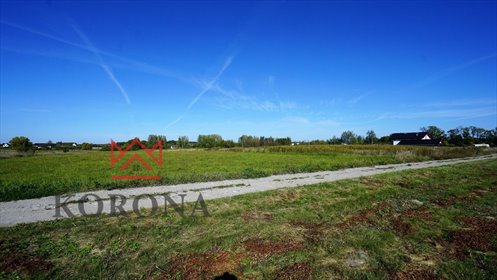 Działka 5855 m² z możliwością zabudowy zagrodowej działka Halickie