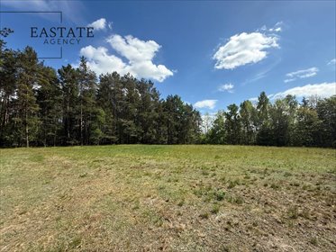 Działka 2549 m² w Trzy Rzeki Kaszuby – las, prywatność, szybki dojazd działka Rąb, Trzy Rzeki, Leśna