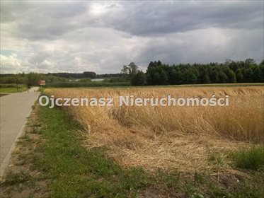 działka na sprzedaż 4029m2 działka Mrocza, Wiele