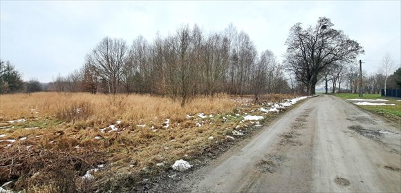 działka na sprzedaż 19894m2 działka Samoklęski-Kolonia Druga