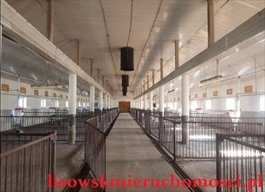 Magazyn na sprzedaż Stryków 1 000m2 Foto 1