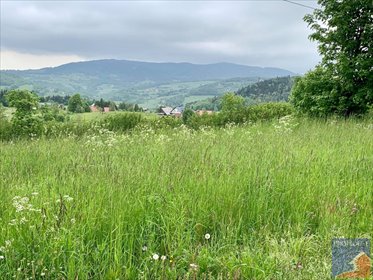 działka na sprzedaż 1700m2 działka Tymbark