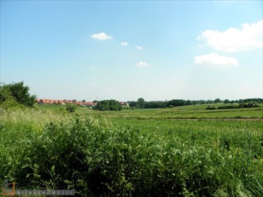 działka na sprzedaż 8371m2 działka Bibice