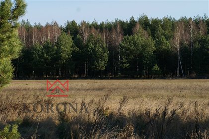 działka na sprzedaż 2016m2 działka Izabelin