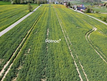Działka budowlana 1463 m² z pełnym uzbrojeniem polecam działka Żeliszów