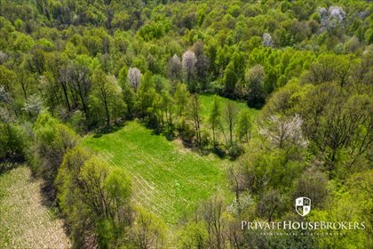 działka na sprzedaż 4100m2 działka Sułów
