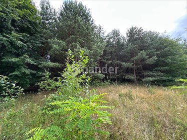 działka na sprzedaż 9870m2 działka Olsztyn