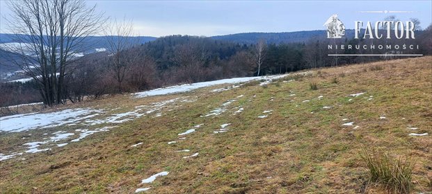 działka na sprzedaż 1500m2 działka Siary