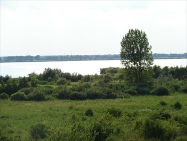 działka na sprzedaż 15000m2 działka Wierzbno