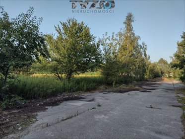 działka na sprzedaż 2200m2 działka Góraszka, Góraszka, Dębowa