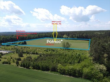 działka na sprzedaż 50000m2 działka Bolesławiec, Generała Augusta Emila Fieldorfa "Nila"