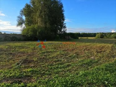 Zapraszam do obejrzenia działki 1600 m² pod lasem z prądem i ciszą działka Nowy Prażmów