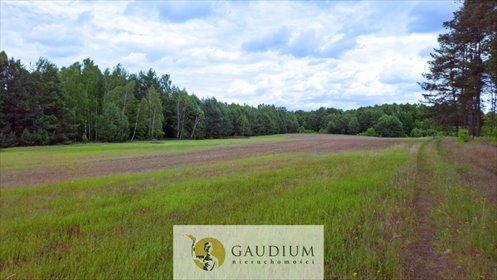 działka na sprzedaż 51775m2 działka Męcikał