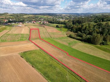 działka na sprzedaż 11000m2 działka Jodłowa
