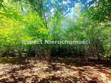 działka na sprzedaż 2080m2 działka ŁAPY, Łupianka Stara