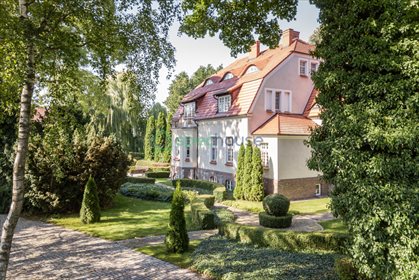 Lokal użytkowy na sprzedaż Chaławy 1 000m2 Foto 3
