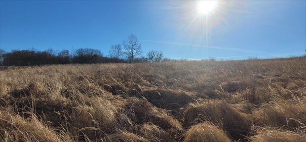 działka na sprzedaż 802m2 działka Szczecin, Stołczyn