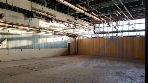 Magazyn 320m² z dużą mocą i parkingiem - polecam! magazyn Warszawa, Bielany