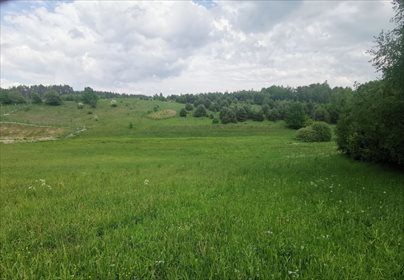 działka na sprzedaż 1360m2 działka Koleczkowo, Wczasowa