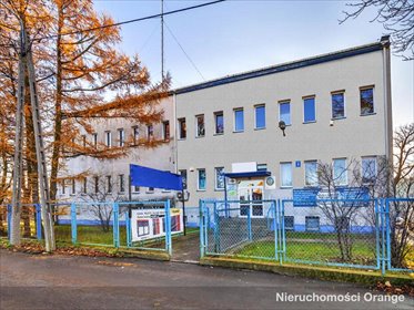 lokal użytkowy na sprzedaż 1191m2 lokal użytkowy Nidzica, Nidzica, ul. Kajki