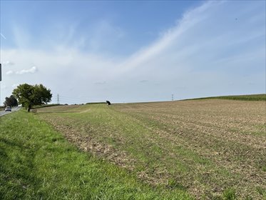 działka na sprzedaż 21000m2 działka Karczów