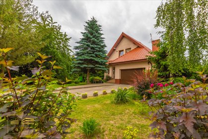 Dom wolnostojący 289 m2 z garażem i tarasem dom Dąbrowica