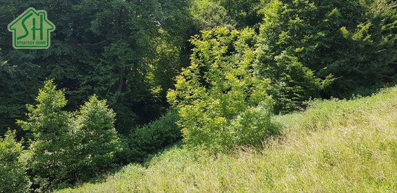 Działka inna na sprzedaż Przemyśl, Prałkowce 5 600m2 Foto 6