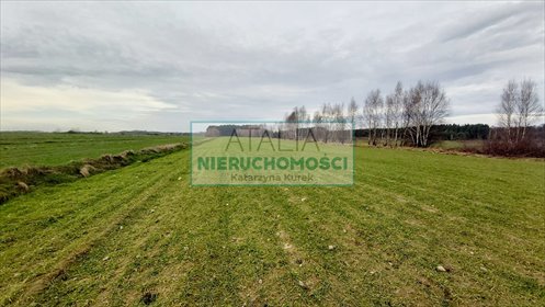 Duża działka 22 084 m² z lasem, media, blisko Warszawy działka Krze Duże