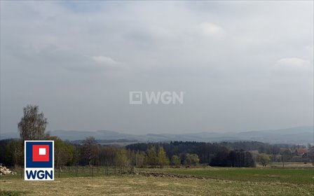 Sprzedam atrakcyjną działkę 2000 m² w Grudzi działka Grudza, Grudza, Grudza